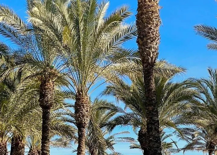 - Costa Del Sol * Torremolinos